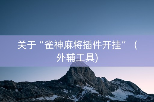 关于“雀神麻将插件开挂”（外辅工具)