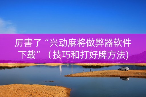 厉害了“兴动麻将做弊器软件下载”（技巧和打好牌方法)