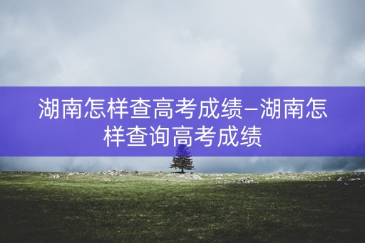 湖南怎样查高考成绩—湖南怎样查询高考成绩 湖南怎样查高考成绩—湖南怎样查询高考成绩