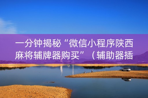 一分钟揭秘“微信小程序陕西麻将辅牌器购买”（辅助器插件)