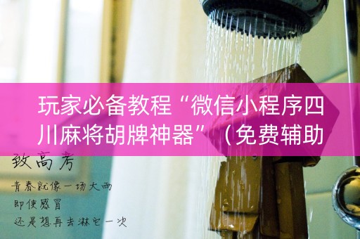 玩家必备教程“微信小程序四川麻将胡牌神器”（免费辅助)