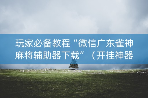 玩家必备教程“微信广东雀神麻将辅助器下载”（开挂神器下载)