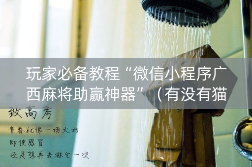 玩家必备教程“微信小程序广西麻将助赢神器”（有没有猫腻)