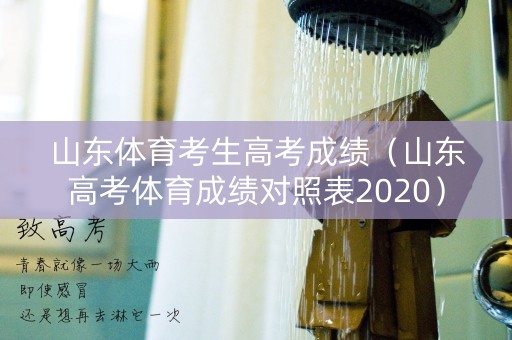 山东体育考生高考成绩（山东高考体育成绩对照表2020）