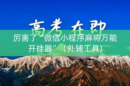 厉害了“微信小程序麻将万能开挂器”（外辅工具)