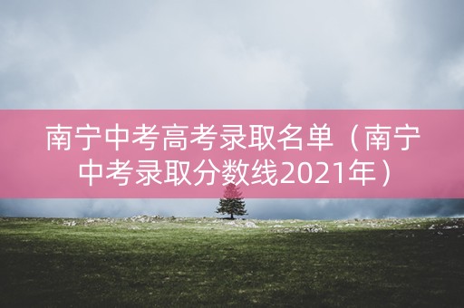 南宁中考高考录取名单（南宁中考录取分数线2021年）