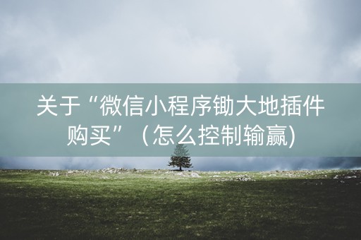 关于“微信小程序锄大地插件购买”（怎么控制输赢)