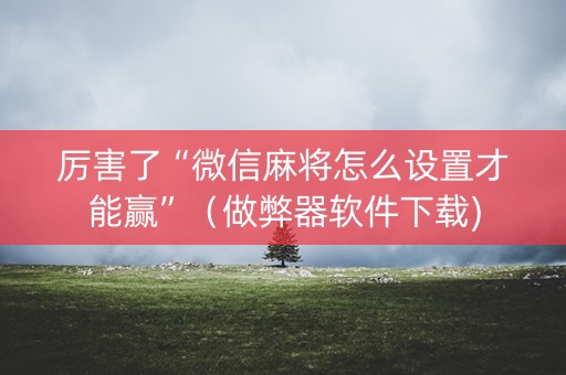 厉害了“微信麻将怎么设置才能赢”（做弊器软件下载)