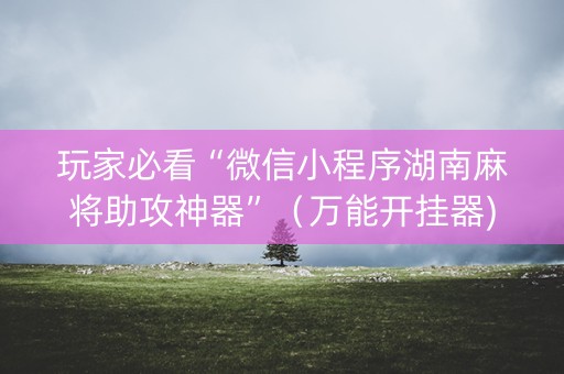 玩家必看“微信小程序湖南麻将助攻神器”（万能开挂器)
