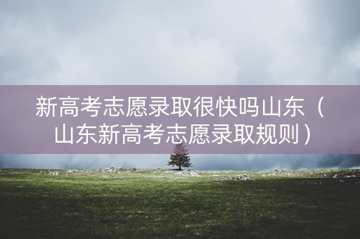新高考志愿录取很快吗山东（山东新高考志愿录取规则）