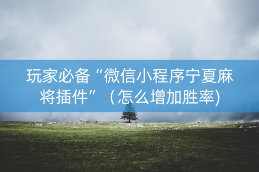 玩家必备“微信小程序宁夏麻将插件”（怎么增加胜率)