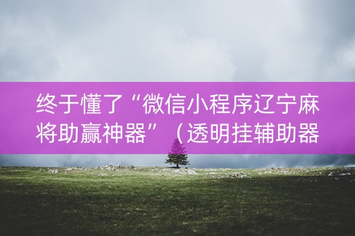 终于懂了“微信小程序辽宁麻将助赢神器”（透明挂辅助器)