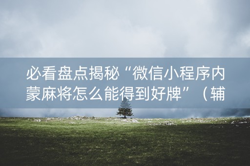 必看盘点揭秘“微信小程序内蒙麻将怎么能得到好牌”（辅助软件)