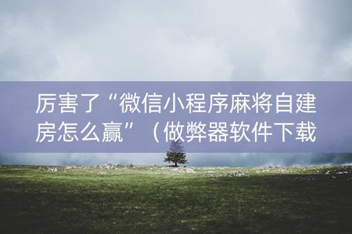 厉害了“微信小程序麻将自建房怎么赢”（做弊器软件下载)