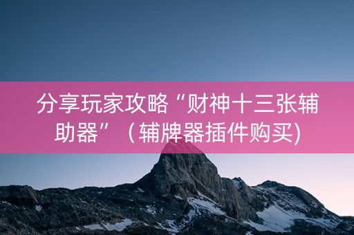 分享玩家攻略“财神十三张辅助器”（辅牌器插件购买)
