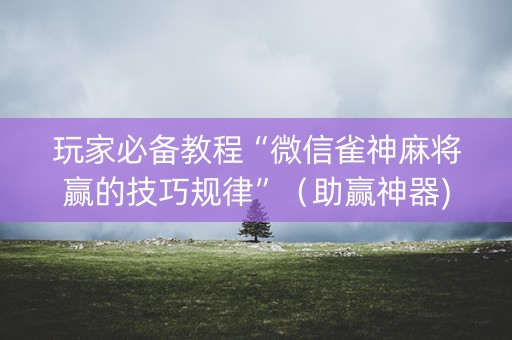 玩家必备教程“微信雀神麻将赢的技巧规律”（助赢神器)