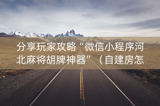 分享玩家攻略“微信小程序河北麻将胡牌神器”（自建房怎么拿好牌)