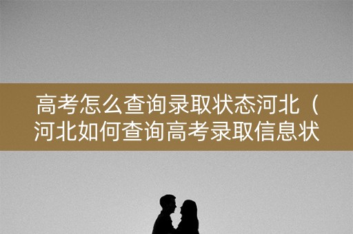 高考怎么查询录取状态河北（河北如何查询高考录取信息状态）