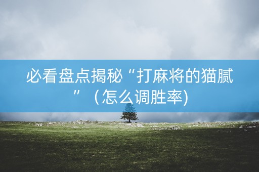 必看盘点揭秘“打麻将的猫腻”（怎么调胜率)