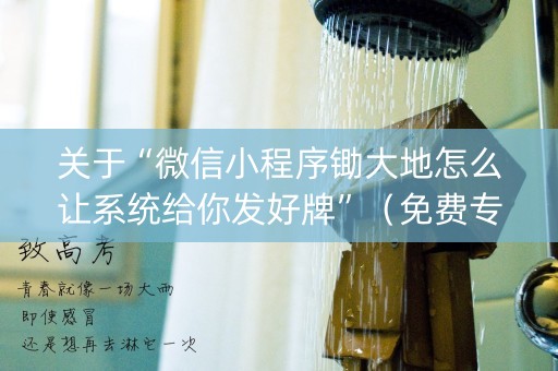 关于“微信小程序锄大地怎么让系统给你发好牌”（免费专用神器)