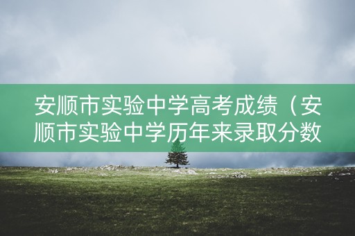 安顺市实验中学高考成绩（安顺市实验中学历年来录取分数）