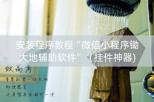 安装程序教程“微信小程序锄大地辅助软件”（挂件神器)