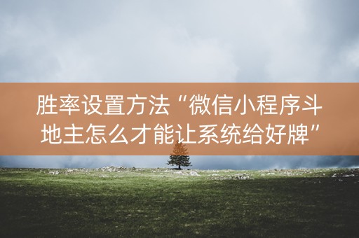 胜率设置方法“微信小程序斗地主怎么才能让系统给好牌”（怎么能让牌好一点)
