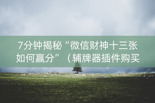 7分钟揭秘“微信财神十三张如何赢分”（辅牌器插件购买)