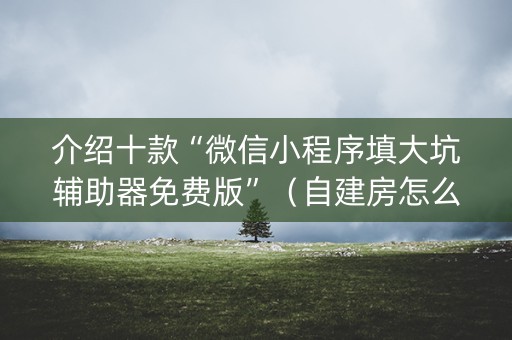 介绍十款“微信小程序填大坑辅助器免费版”（自建房怎么赢)