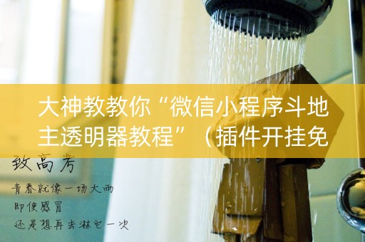 大神教教你“微信小程序斗地主透明器教程”（插件开挂免费AI)