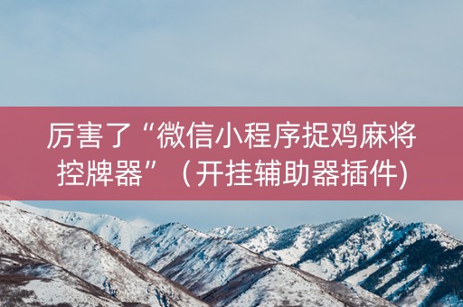 厉害了“微信小程序捉鸡麻将控牌器”（开挂辅助器插件)