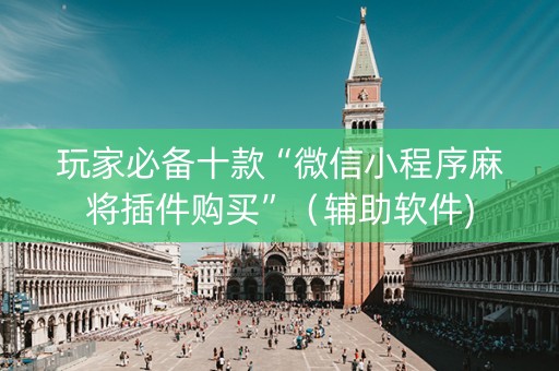 玩家必备十款“微信小程序麻将插件购买”（辅助软件)