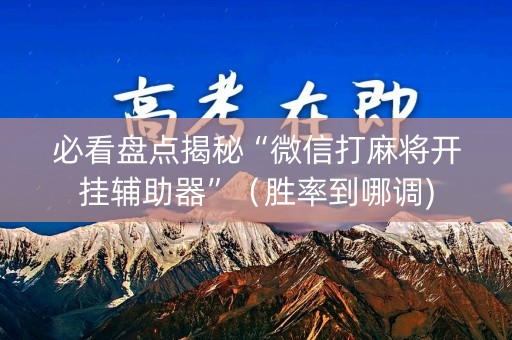 必看盘点揭秘“微信打麻将开挂辅助器”（胜率到哪调)