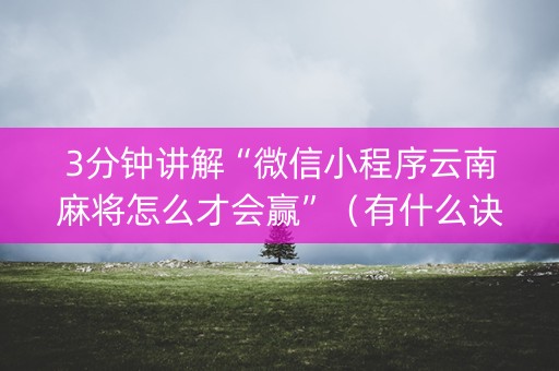 3分钟讲解“微信小程序云南麻将怎么才会赢”（有什么诀窍)
