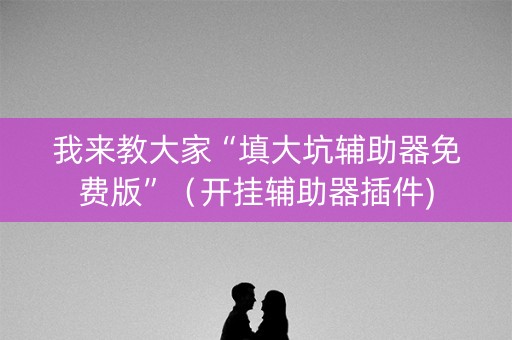 我来教大家“填大坑辅助器免费版”（开挂辅助器插件)