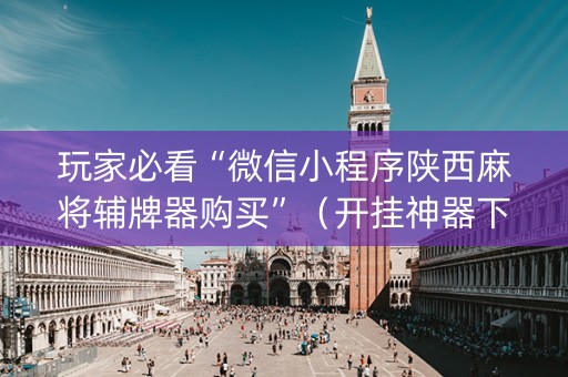 玩家必看“微信小程序陕西麻将辅牌器购买”（开挂神器下载)