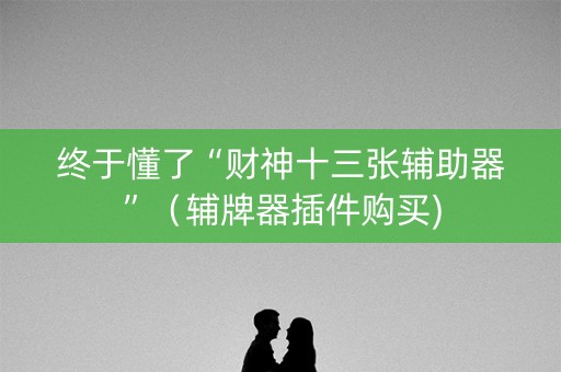 终于懂了“财神十三张辅助器”（辅牌器插件购买)
