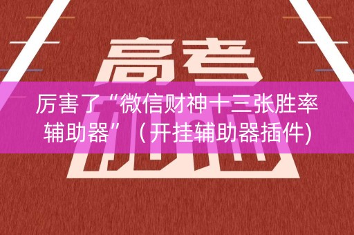 厉害了“微信财神十三张胜率辅助器”（开挂辅助器插件)