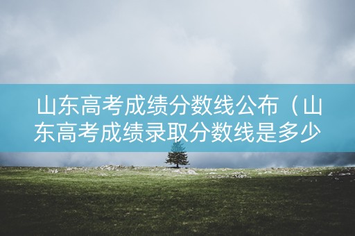 山东高考成绩分数线公布（山东高考成绩录取分数线是多少）