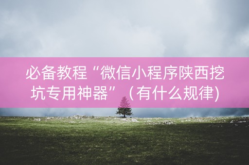 必备教程“微信小程序陕西挖坑专用神器”（有什么规律)