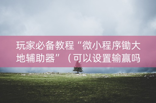 玩家必备教程“微小程序锄大地辅助器”（可以设置输赢吗)