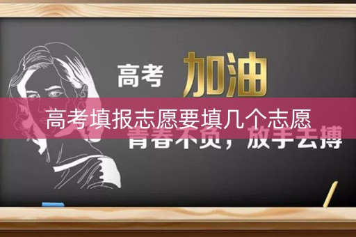 高考填报志愿要填几个志愿
