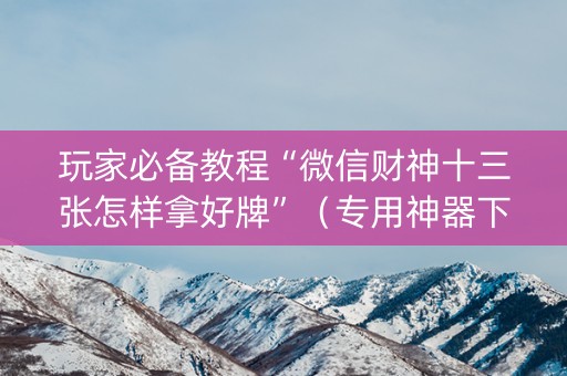 玩家必备教程“微信财神十三张怎样拿好牌”（专用神器下载)