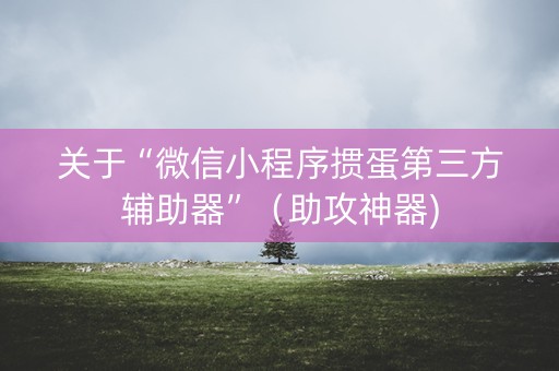 关于“微信小程序掼蛋第三方辅助器”（助攻神器)