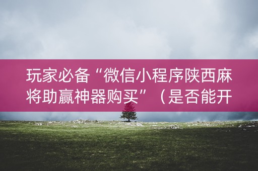 玩家必备“微信小程序陕西麻将助赢神器购买”（是否能开挂)