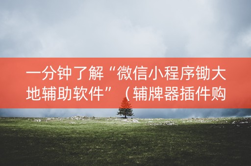 一分钟了解“微信小程序锄大地辅助软件”（辅牌器插件购买)