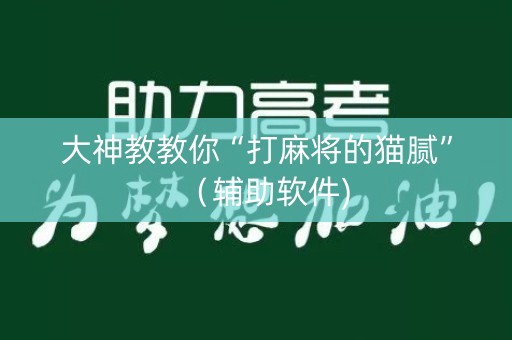 大神教教你“打麻将的猫腻”（辅助软件)