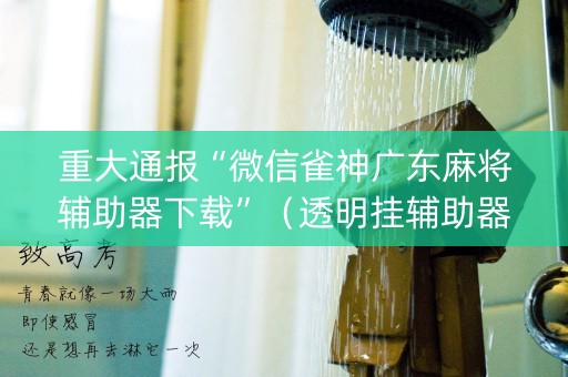 重大通报“微信雀神广东麻将辅助器下载”（透明挂辅助器)