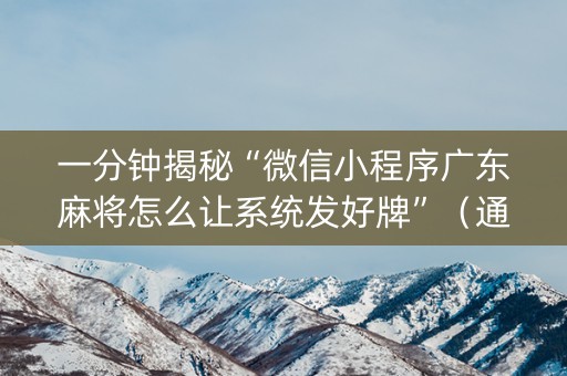 一分钟揭秘“微信小程序广东麻将怎么让系统发好牌”（通用挂软件多少钱)