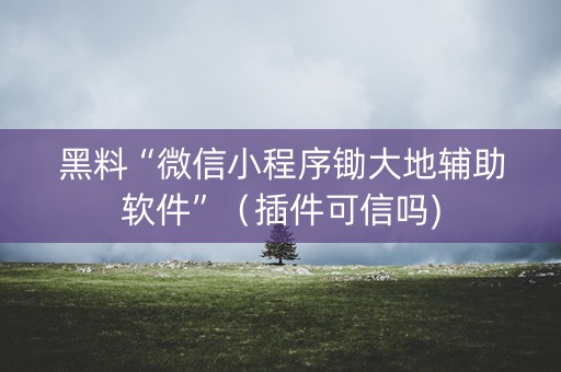 黑料“微信小程序锄大地辅助软件”（插件可信吗)